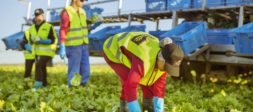 La innovación, motor de crecimiento en Florette