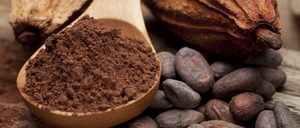Informe 2018 del sector de chocolates para uso industrial en España