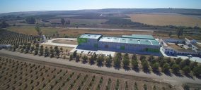 Una nueva operadora de capital americano recoge su primera cosecha de nueces