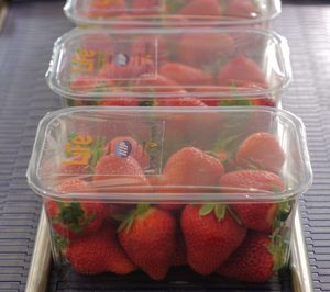 Ilip crea una filial para el mercado español