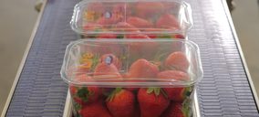 Ilip crea una filial para el mercado español