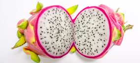 ProColombia reúne ocho empresas colombianas en Fruit Attraction