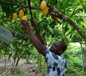 Mondelez suma un nuevo país a su proyecto Cocoa Life