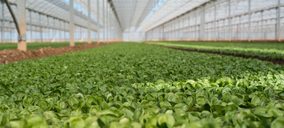 Florette realiza una reestructuración societaria