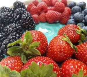 Flor de Doñana invierte en sus instalaciones y fincas