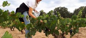 Hispanobodegas, enoturismo y nuevas gamas en Ribera