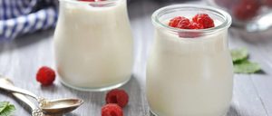 Informe 2018 del sector de yogures y postres lácteos