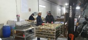 La matriz de Nord King también se declara en preconcurso de acreedores