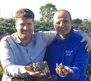 Kalettes vuelve al lineal de Carrefour