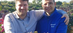 Kalettes vuelve al lineal de Carrefour