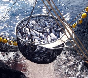 El CE aumenta a 30.000 t el contingente de atún con arancel cero hasta 2020