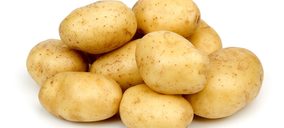 Una productora de patata nacional acaba en liquidación