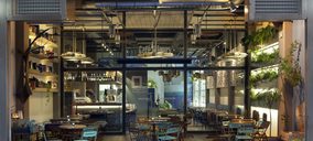 Compañía del Trópico abre cuatro locales