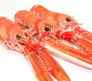 El grupo Moray, a un paso de la extinción