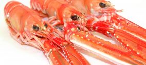 El grupo Moray, a un paso de la extinción