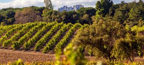 Bodegas Lecea y Arizcuren Wines se incorporan a Bodegas Familiares de Rioja