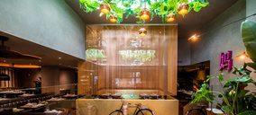 Shanghai Mama abre su quinto restaurante en la capital