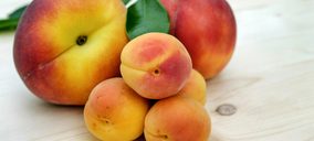 Sol de Badajoz amplía su central de Valdivia