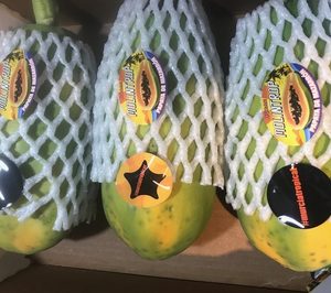 Grupo Durán confía a la papaya sus planes de futuro