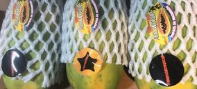 Grupo Durán confía a la papaya sus planes de futuro
