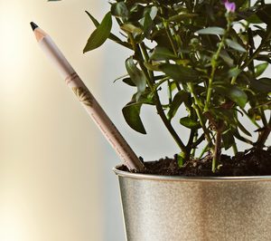 La startup Sprout busca socio para distribuir su lápiz de maquillaje eco en España