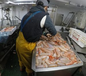 La flota española comercializará pepino de mar en Asia