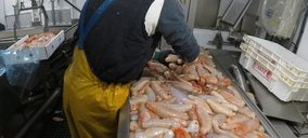 La flota española comercializará pepino de mar en Asia