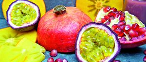Informe 2019 de Frutas Tropicales y Exóticas