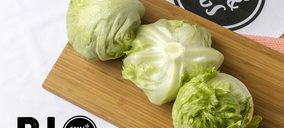 Sun&Vegs apuesta por el ecológico y el envase biodegradable