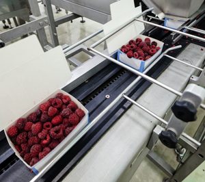 El sector hortofrutícola protege sus productos con Oxyion