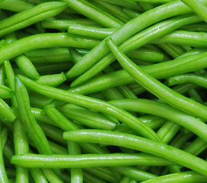 Gelagri confirma su paso adelante en España con inversiones por valor de 30 M