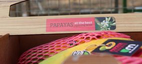 Tropical Millenium experimenta un fuerte crecimiento