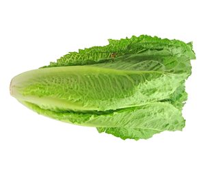 Nunhems da respuesta a los nuevos consumos de lechuga