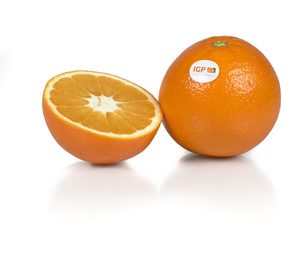 IGP Cítricos Valencianos sortea la actual crisis en el sector