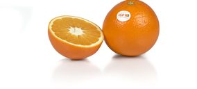 IGP Cítricos Valencianos sortea la actual crisis en el sector