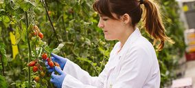 La Caña participa en un proyecto para dar valor al suministro del tomate