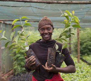 Nestlé pone en marcha Cultivado con respeto
