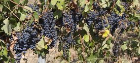 Las exportaciones españolas de vino superan récord en valor pero caen en volumen