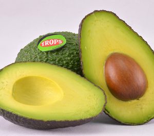 Trops comienza a exportar sus aguacates a Estados Unidos