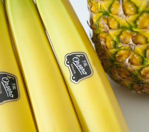 Grupo Orsero adquiere el grupo francés Fruttica