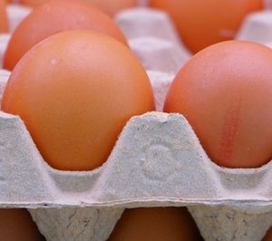 Condis deja de vender huevos de gallinas enjauladas