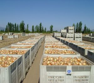 Queda extinguida una exportadora valenciana de cebolla, ajo y cítricos