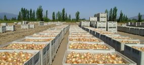 Queda extinguida una exportadora valenciana de cebolla, ajo y cítricos