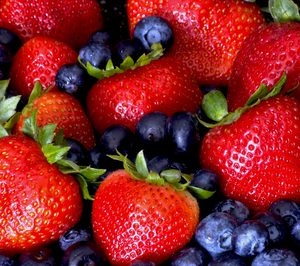 Hudisa invierte en la mejora de sus procesos productivos