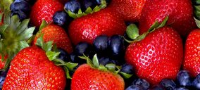 Hudisa invierte en la mejora de sus procesos productivos