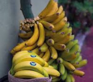 Asprocan desconfía de los próximos acuerdos comerciales de la Unión Europea