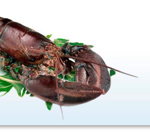 Naturfresh duplica ventas y cuadruplica beneficios