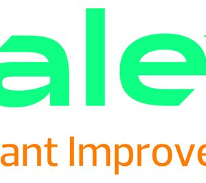 El grupo Palex estrena nueva identidad visual