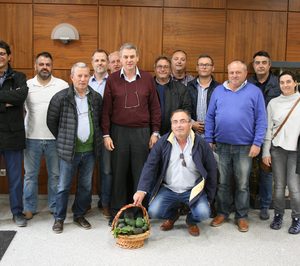 Nace en Valencia una nueva asociación de productores de aguacate