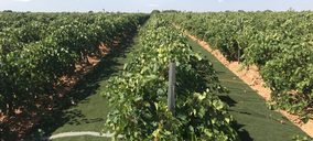 Familia Martínez Bujanda ultima inversiones para sus bodegas